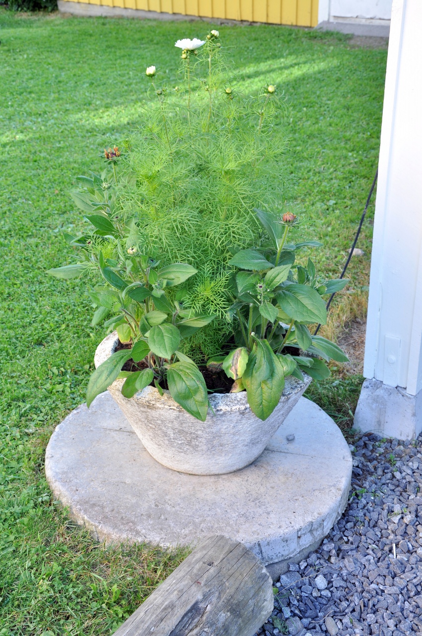 20100803-0063